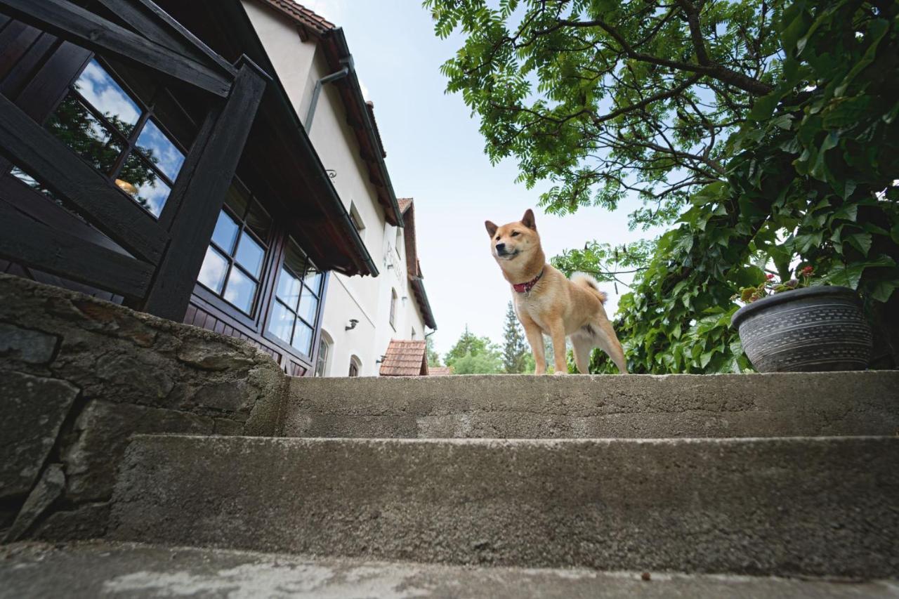 Penzion Onyx Hotel Cesky Krumlov Exterior photo