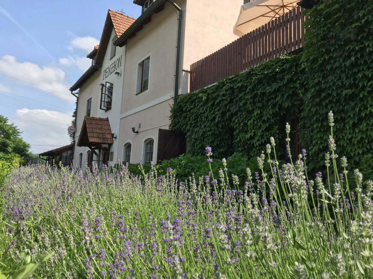 Penzion Onyx Hotel Cesky Krumlov Exterior photo